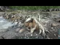 How I loot the Beaver Dams EASILY - ARK Ragnarok
