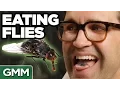 Download Gross Animal Food Taste Test mp4 3gp mp3 videos - waplic