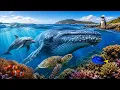Ocean Animals for Kids 30 Amazing Ocean Coastal Animals