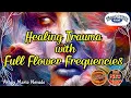 Download Lagu Healing with Uncut Flowers - Full Flower Frequencies