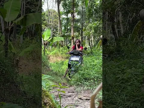 CEWEK DI HUTAN #camping #shorts