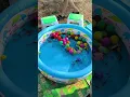 Download Lagu Ikan dalam kolam