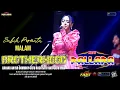Download Lagu MALAM - SABILA PERMATA - NEW PALLAPA - LIVE BROTHERHOODS 2023
