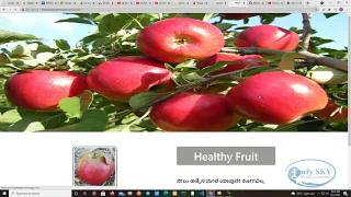 Deep Learning based Apple fruit disease prediction and pesticides suggestion using AI