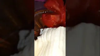 مفيش فطار أحلا من كدا اكسبلور 