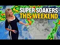 Tampa Weather - When It Rains This Weekend