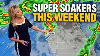 Tampa Weather - When It Rains This Weekend