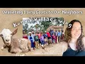 Download Lagu A Source of Income for our Neighbors 🤎 ~ Kenya Village Life ~ VLOG
