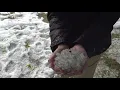 Severe weather in Southern Maine causes piles of hail and flooding
