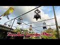 Download Lagu Simulasi Lomba Pleci Cepat Ngalas Buka Paruh #terapipleci #pleci  #pcmi #plecigacor #kicaumania 