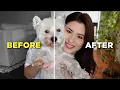 How I keep my dog WHITE around the mouth
