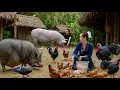 Download Lagu Zon Vang: From City Life to Forest Freedom – Growing Food \u0026 Living Off-Grid