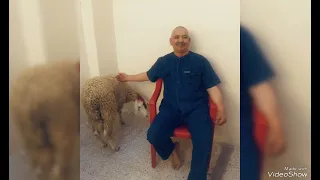 موال عن فراق الاب المرحوم عبد القادر فيطس الزبر عيسى شريك 2024 