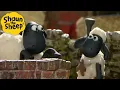 Big Bath Time! 🐑 Shaun the Sheep 🐑  - Cartoons for Kids 🐑 Full Episodes Compilation [1 hour]