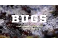 Video di BUGS the film – Will eating insects save our Earth? – official trailer #Tribeca2016