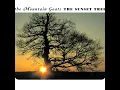 This Year - The Mountain Goats