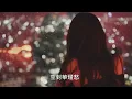 最後一夜                                                                                  蔡琴  演唱