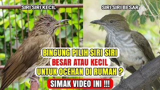 Download BAGUS MANA❓SIRI SIRI BESAR ATAU KECIL❓SIMAK PENJELASANYA❗ MP3