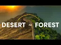 Lagu How China Turned the Desert Green (and why it went wrong)
