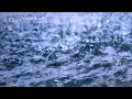 Intense Rain Shower | Rain sounds | Sleep sounds