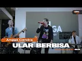 Download Lagu ULAR BERBISA - HELLO | Angga Candra Ft Himalaya Project