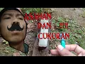Download Lagu VIDEO LUCU INDONESIA 2020 -CUKUR JANGGUT-