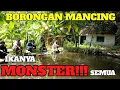 BORONGAN MANCING❗️IKAN FULL IKAN MONSTER SEMUANYA ❗️❗️❗️PEMANCING PADA KUWALAHAN ❗️❗️❗️