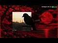 sadness -  sunset blush | blackgaze album