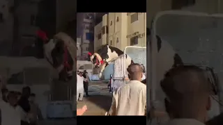 Danger Unloading