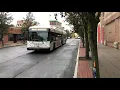 Beeline Buses
