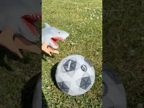 Shark puppet in the World Cup