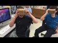 Dr Burton s Referendum Overview - Elementary
