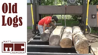 Sawing Old Logs - How long can I wait before sawing logs into lumber