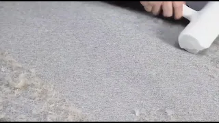                     دندنها