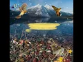 Porter - Pájaros