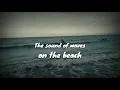 Download Lagu Tony q rastafara Pesta pantai video liryc