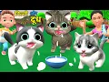 Download Lagu बिल्ली के बच्चे और दुध | Chintu aur Cat | cartoon | pagal beta | desi comedy video| cs bisht vines