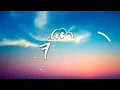 SZA - Normal Girl (Lyrics)