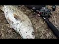 Is The Piscifun Torrent II Fishing Reel Worth The Buy