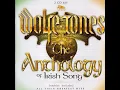 Rifles of the IRA - The Wolfe Tones