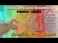 Download Lagu Langgam Klasik Sragenan Pandu Laras