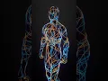 Vessels Growth on Rigged Models - Blender Geometry Simulation 4 0 Noding-Product