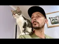 Download Lagu Toen je om een ​​kat vroeg, maar je kreeg een hartgenezer ❤️Kat en mens