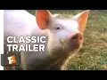 Download Lagu Babe Official Trailer #1 - Miriam Margolyes Movie (1995)