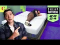 Best Cheap Mattress Top 6 Beds UPDATED