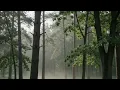 🌧️ Forest Rain Sounds for Deep Sleep (NO ADS) | Instant Stress Relief, Insomnia Aid & Deep Sleep
