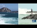 Ocean Safety urges caution on south east shores ahead of high surf