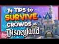 14 Tips to Beat the INSANE Spring Break CROWDS at Disneyland
