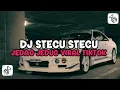 Download Lagu DJ STECU STECU SETELAN CUEK BARU MALU VIRAL TIKTOK TERBARU 2025