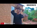 Download Lagu Mugyara Halinmu - Ghalin money
